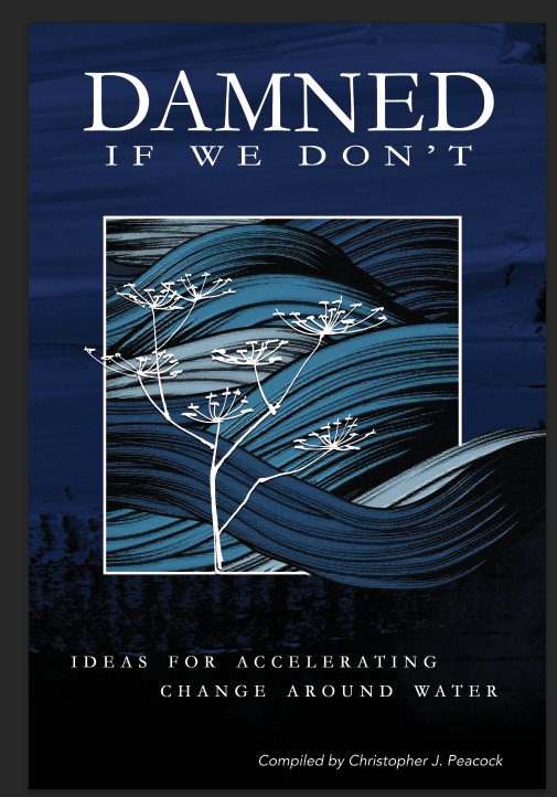 Cover of Damned If We Don't, edited by Christopher Peacock