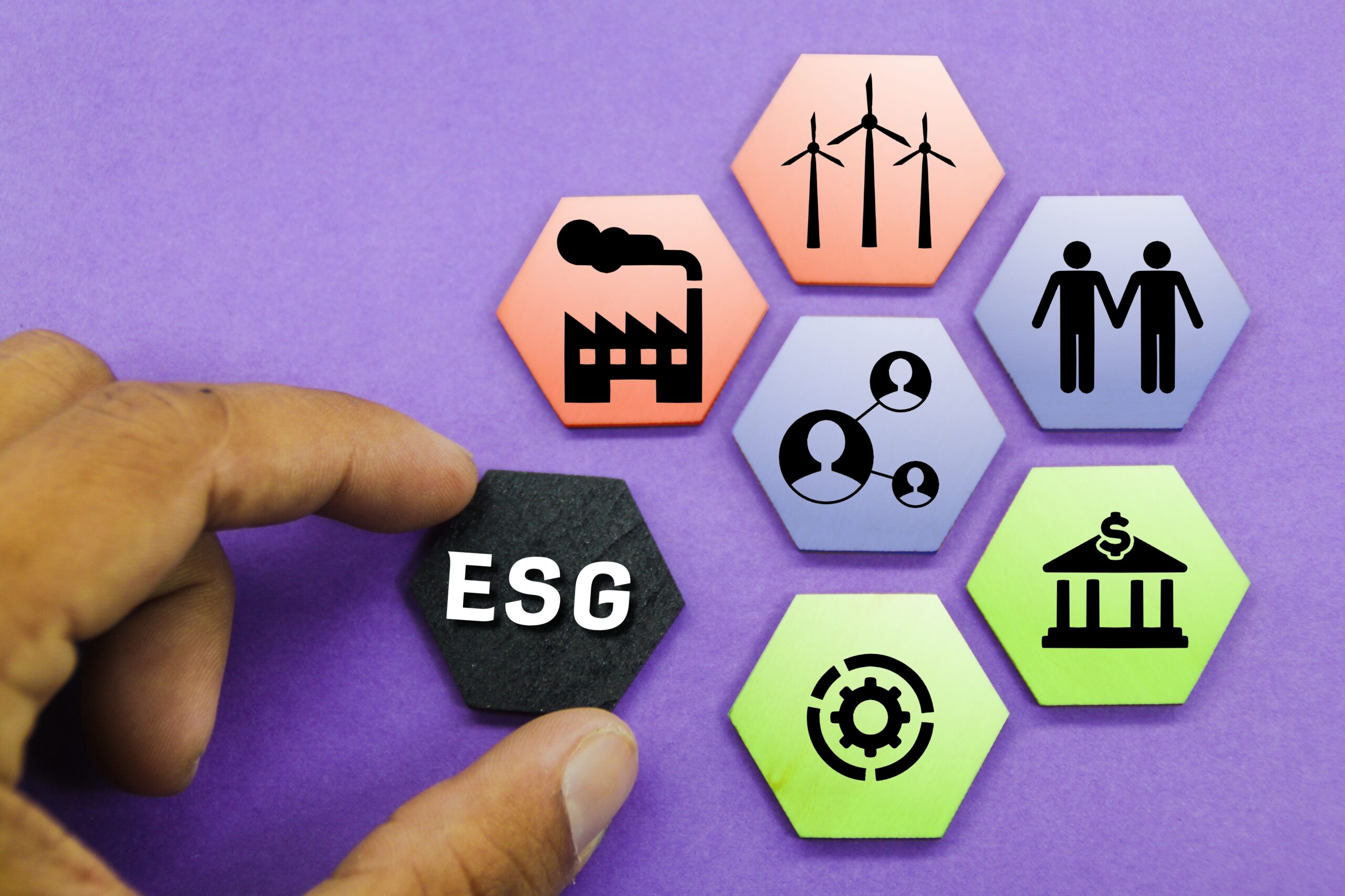 ESG Standards